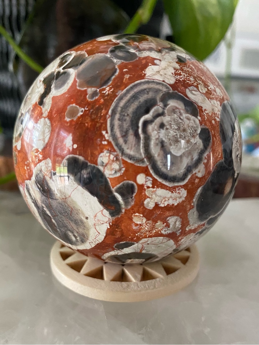 ✨ MONEY AGATE “COIN” SPHERE — 2.64” ✨ 🪙💚